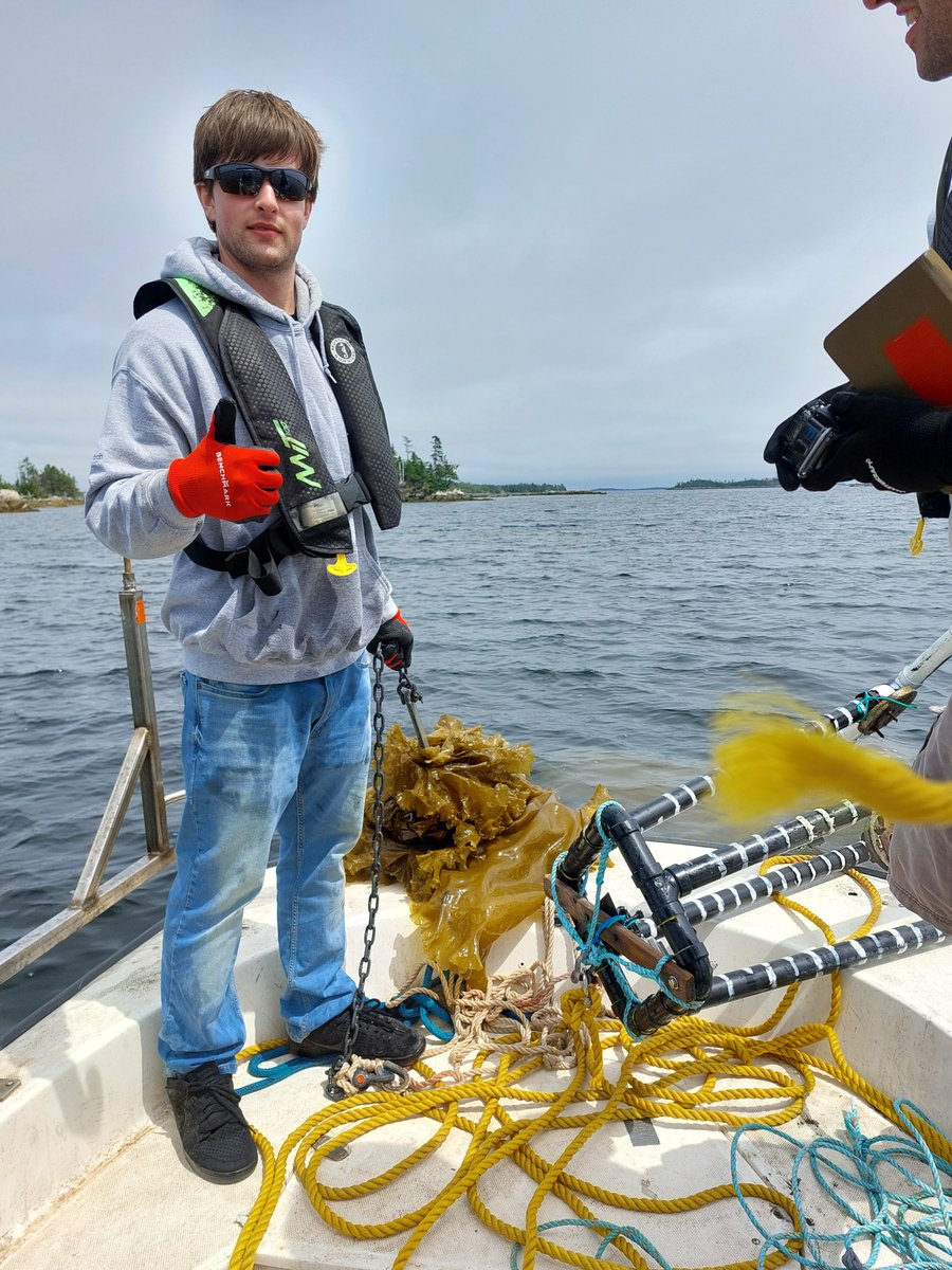 NSCC Research tweet media