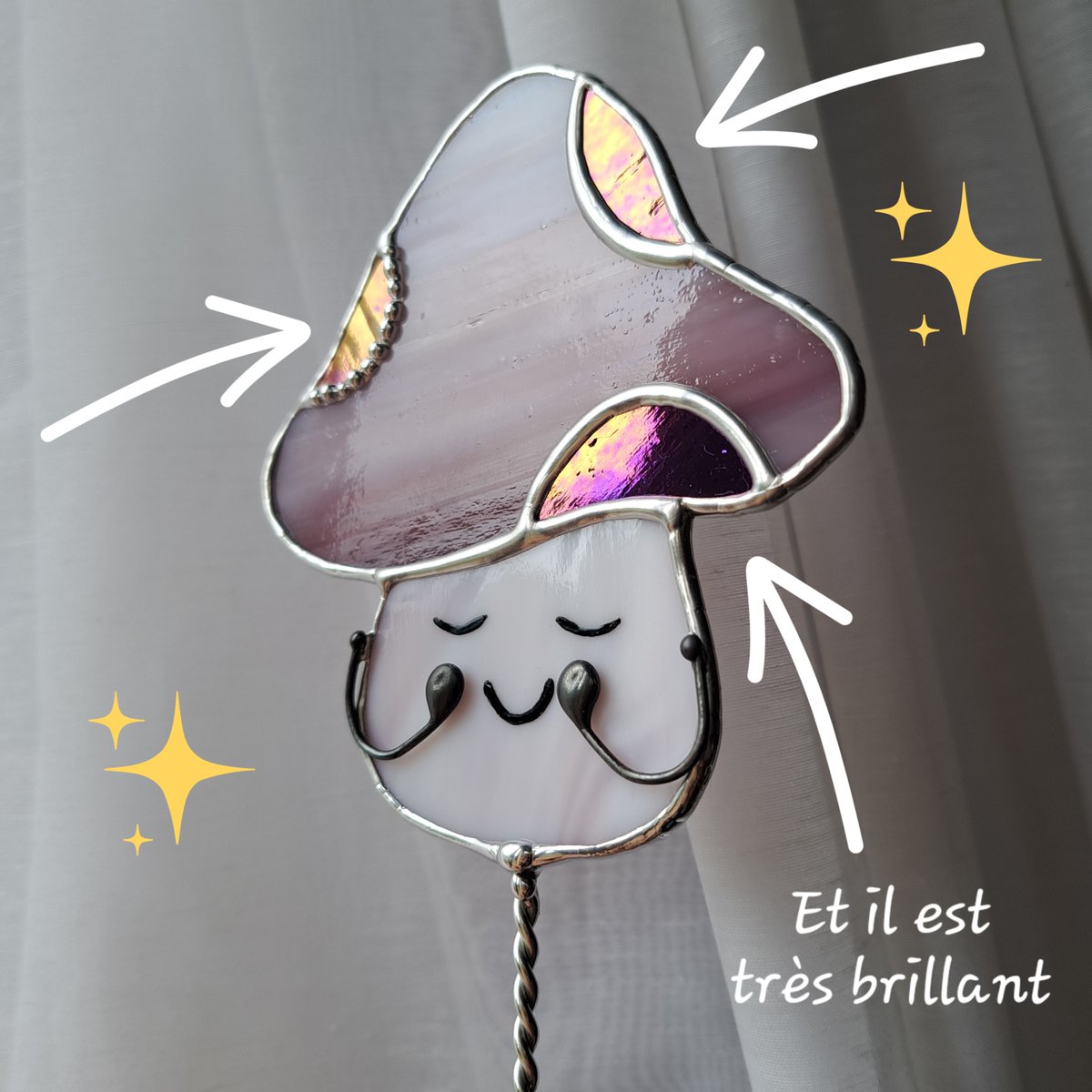 Les Bluettes de Lys tweet media