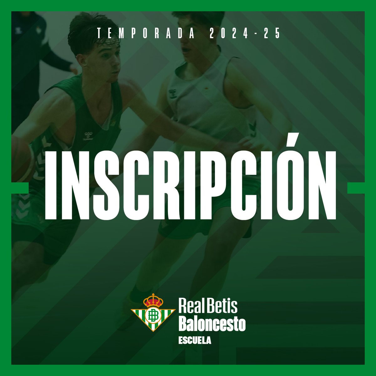 ‼️Ya está disponible la plataforma de inscripción a nuestras Escuelas‼️🏀🏀Encuentra la tuya y  haz tu reserva!! 
realbetisbalompie.es/otros-deportes…