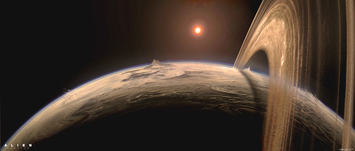 Pablo Dominguez tweet media