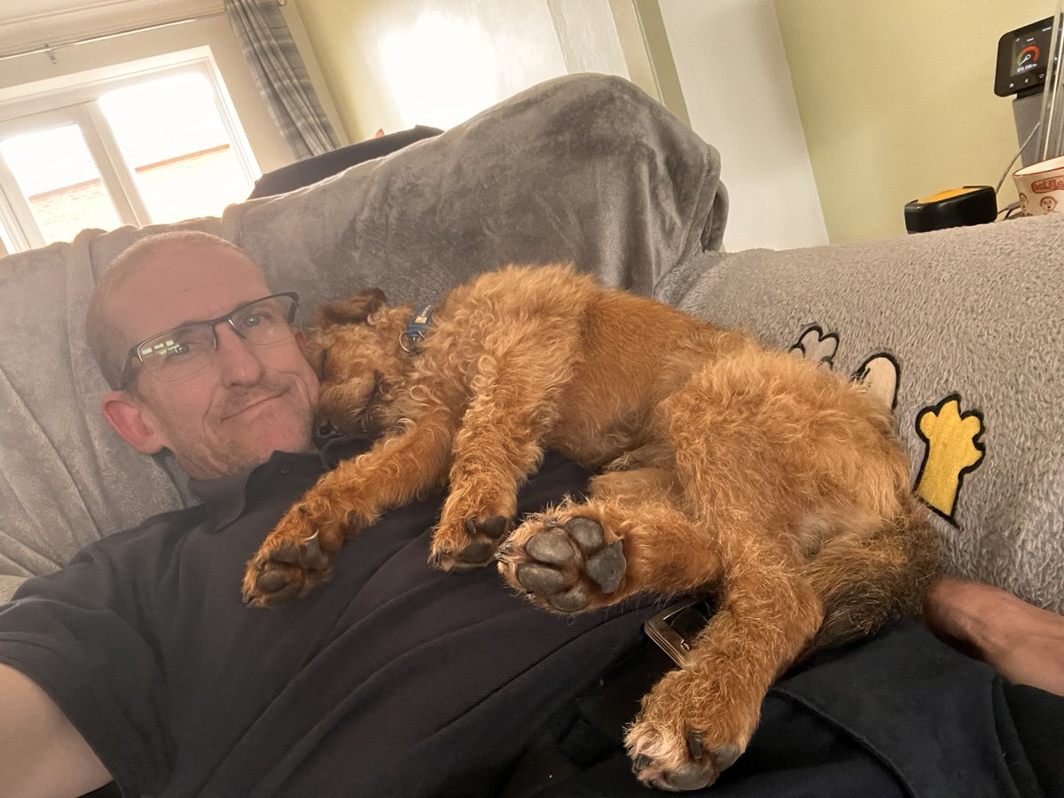 LordJack642's tweet photo. I found a great place to have a snooze on me dad 💤💤 #sleepydog https://t.co/QCS9DFxd30