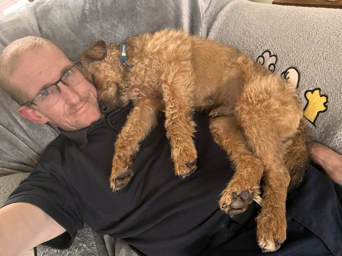 LordJack642's tweet photo. I found a great place to have a snooze on me dad 💤💤 #sleepydog https://t.co/QCS9DFxd30