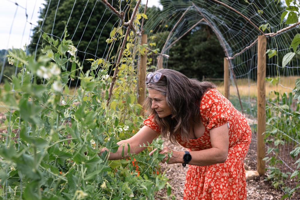 Limited spots left for our Menopause Retreat starting Monday, 14th October! This programme informs, empowers and supports women through Perimenopause and Menopause. Approach this life stage with confidence. Book now!

combegrove.com/the-metabolic-…

#MenopauseSupport #WellnessRetreat