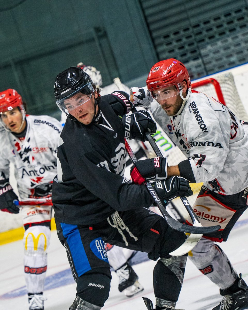 Corsaires de Nantes tweet media