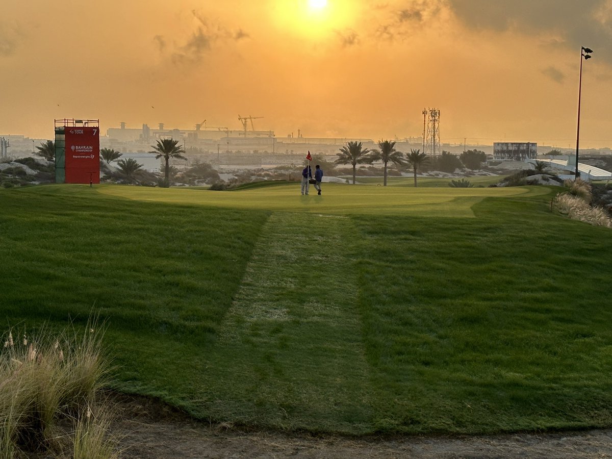 Marcus Davies tweet media