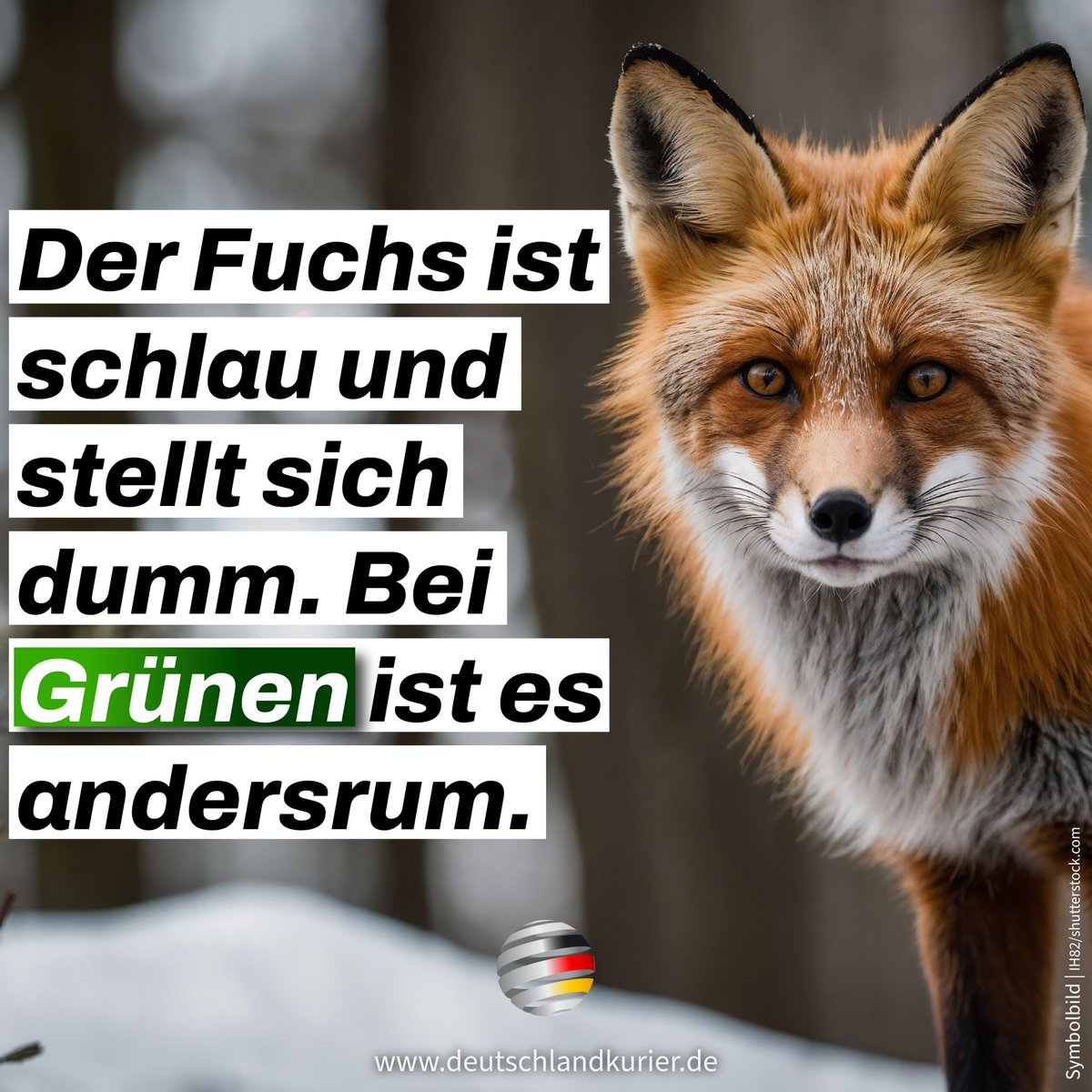 Deutschland Kurier (@deu_kurier) on Twitter photo 
