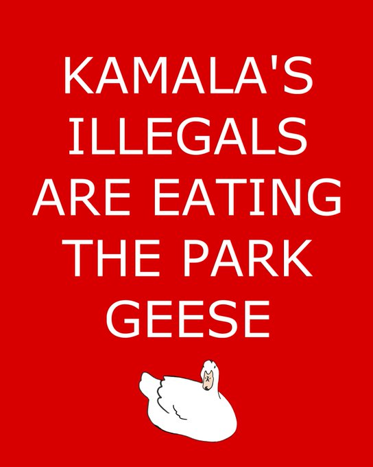 GuntherEagleman's tweet photo. CAUTION https://t.co/Tq6BPRv9zs