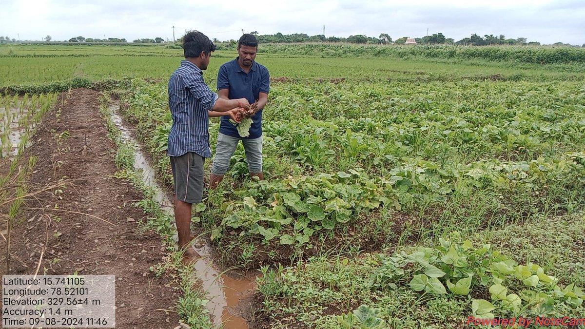 IGGAARL (@iggaarl) on Twitter photo "పొరుగు దేశాలకు <a href="/APZBNF/">Andhra Pradesh Community-managed Natural Farming</a> ను విస్తరింపజేయాలంటే శాస్త్రీయత పై అవగాహన అవసరం.అందుకు <a href="/iggaarl/">IGGAARL</a> FSC విద్య ఎంతగానో ఉపయోగపడుతుంది ."- జి.మధు.ఎకరా వరి గట్టు మీద 20 రకాల కూరగాయలు పండిస్తూ రైతు శాస్త్రవేత్త విద్యను అభ్యసిస్తున్నారు ఈ నంద్యాల జిల్లా,గుంటకందాల రైతు.<a href="/samuelanand09/">Samuel Anand Kumar</a>,<a href="/vijaythallam/">Vijay</a> "పొరుగు దేశాలకు <a href="/APZBNF/">Andhra Pradesh Community-managed Natural Farming</a> ను విస్తరింపజేయాలంటే శాస్త్రీయత పై అవగాహన అవసరం.అందుకు <a href="/iggaarl/">IGGAARL</a> FSC విద్య ఎంతగానో ఉపయోగపడుతుంది ."- జి.మధు.ఎకరా వరి గట్టు మీద 20 రకాల కూరగాయలు పండిస్తూ రైతు శాస్త్రవేత్త విద్యను అభ్యసిస్తున్నారు ఈ నంద్యాల జిల్లా,గుంటకందాల రైతు.<a href="/samuelanand09/">Samuel Anand Kumar</a>,<a href="/vijaythallam/">Vijay</a>