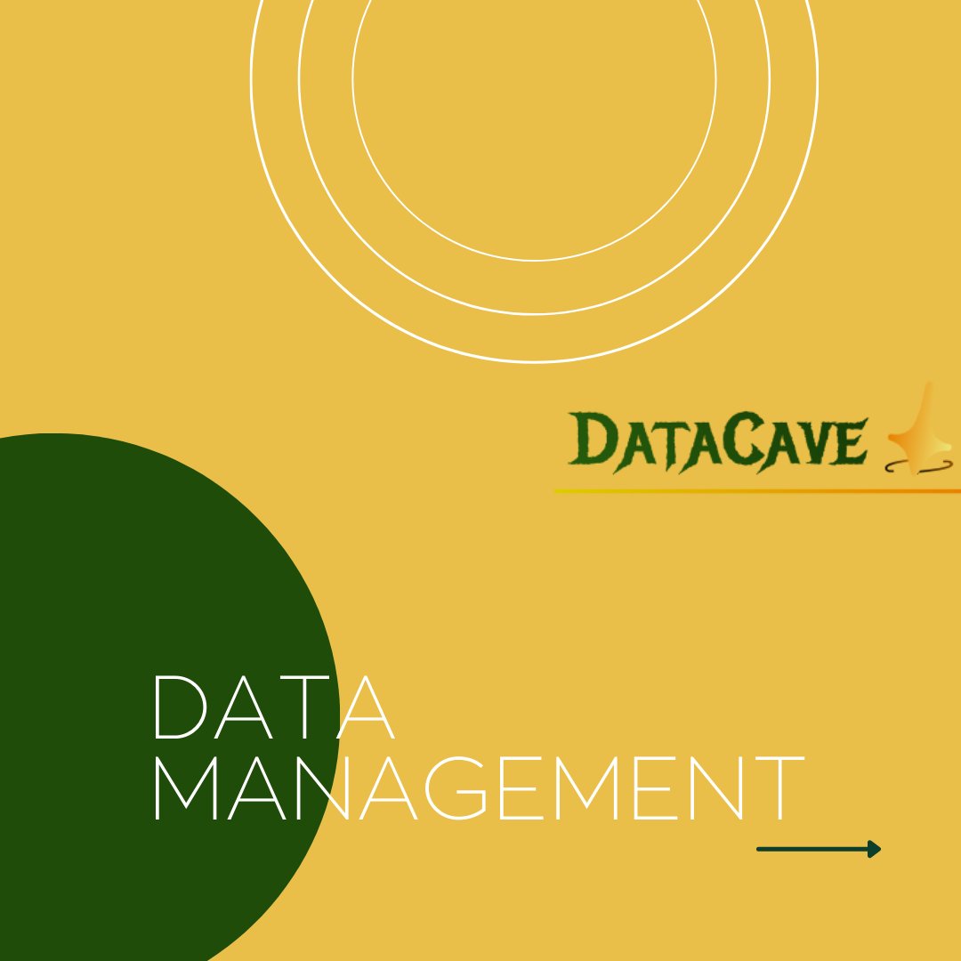 cave_data's tweet photo. what do you know about data management in data governance ?
for more visit our website:
https://t.co/6WBdCiZ7et https://t.co/XddDombtuI