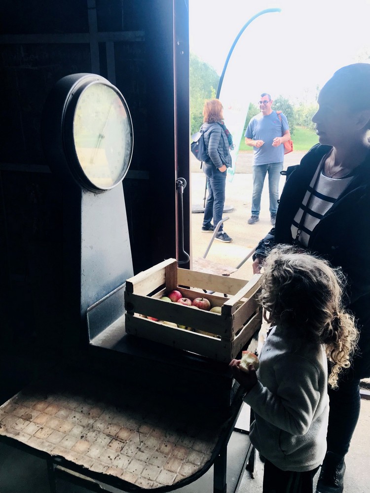 presse_30's tweet image. L'Agglo Seine-Eure a organisé le premier marché de producteurs du réseau Achetons Local - #lemesniljourdain
#marchélocal #achetonslocal #agriculture #eureagricole #eure #Normandie