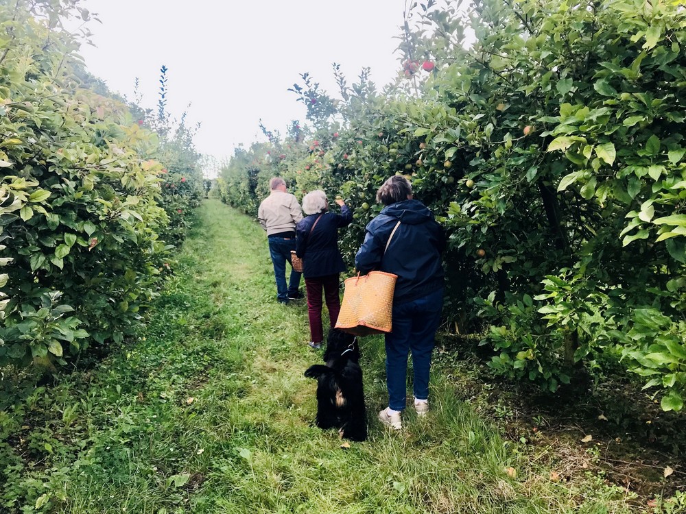 presse_30's tweet image. L'Agglo Seine-Eure a organisé le premier marché de producteurs du réseau Achetons Local - #lemesniljourdain
#marchélocal #achetonslocal #agriculture #eureagricole #eure #Normandie