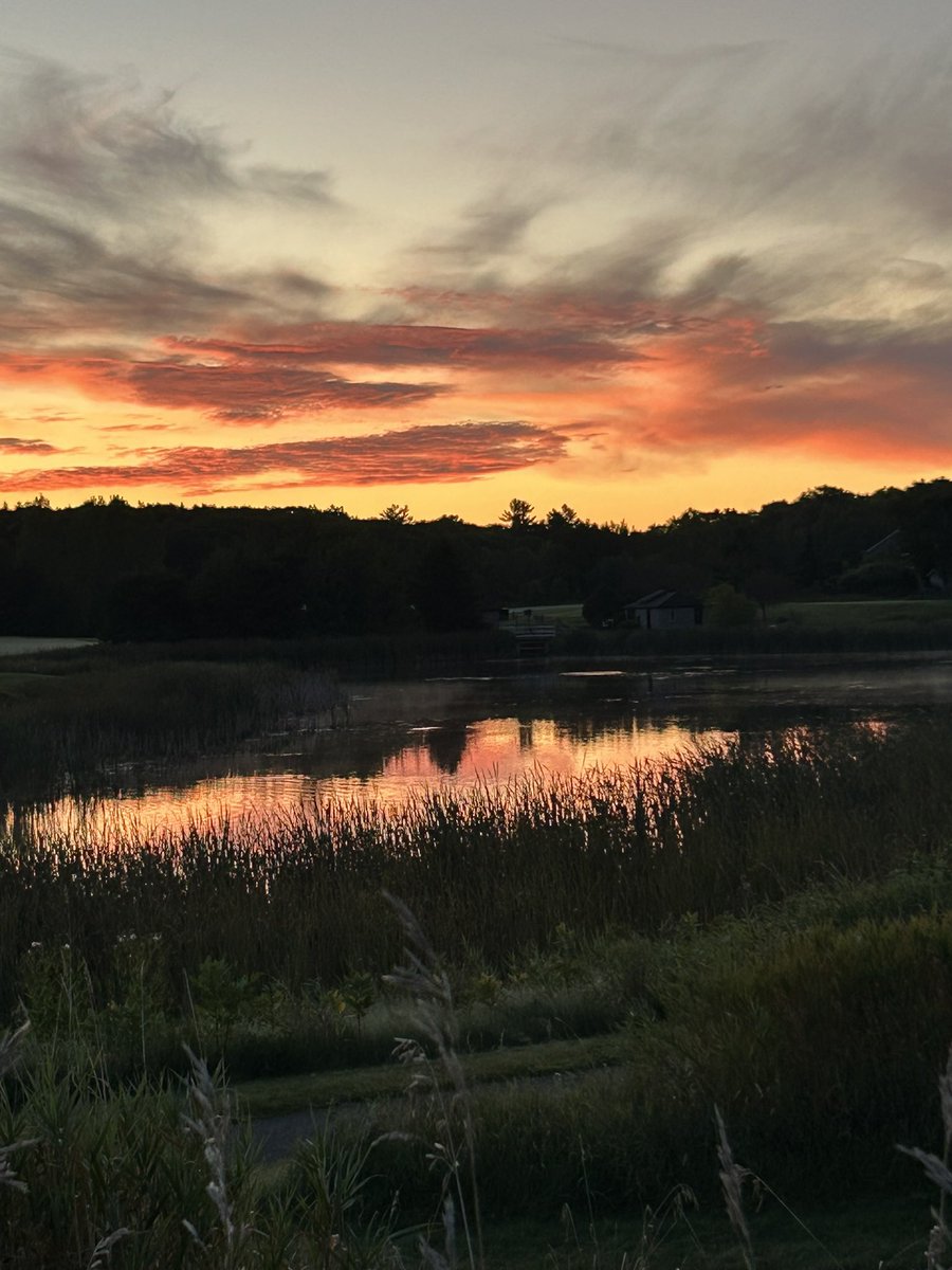 Jody Prevost (she/her) tweet media