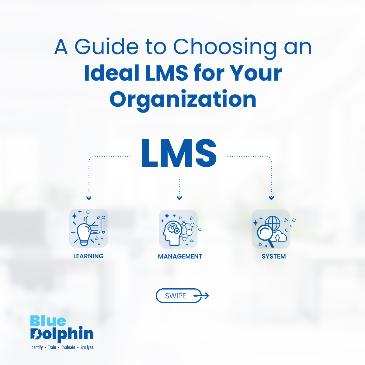 BlueDolphin tweet media