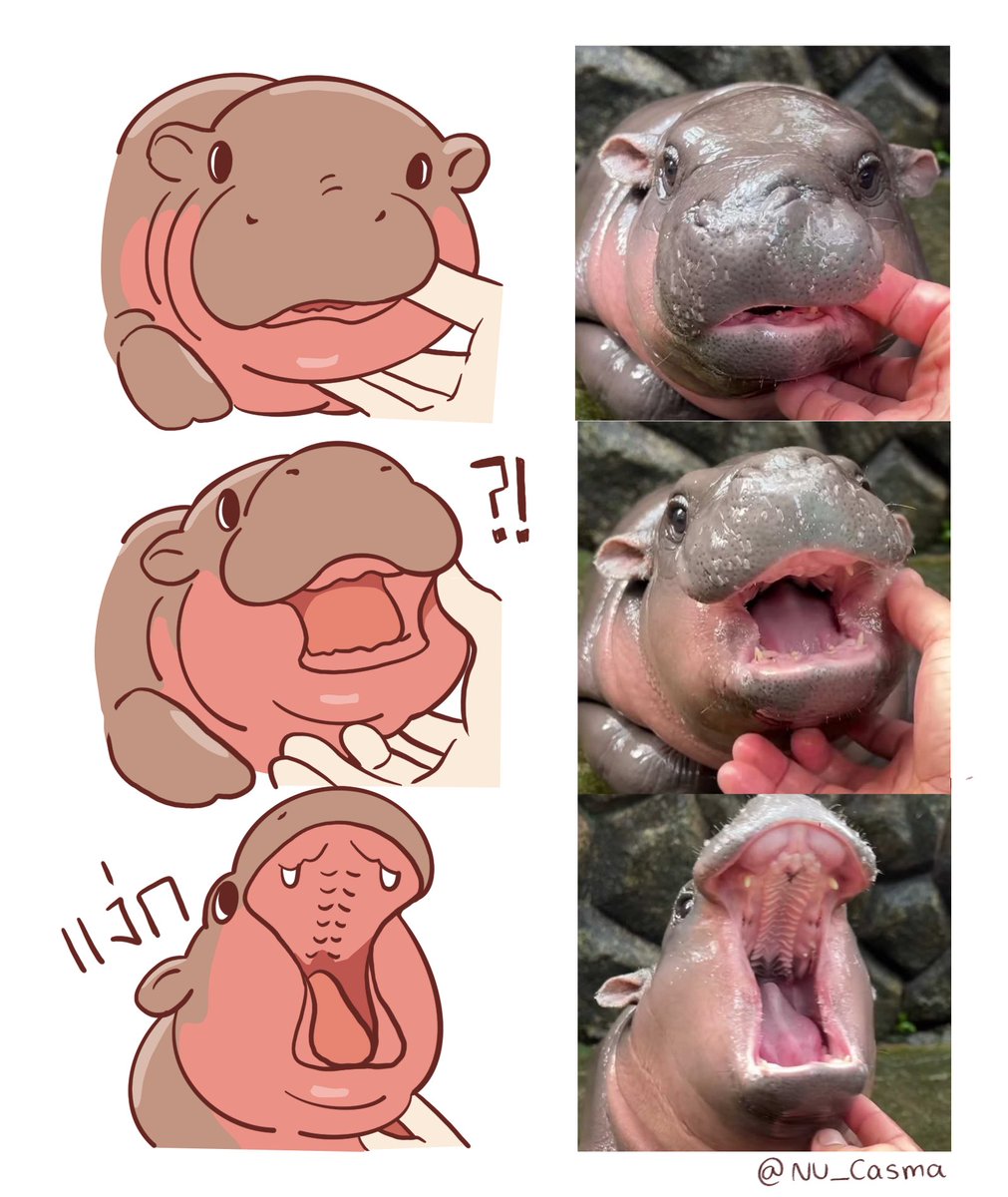 NU_Casma's tweet image. บัตรจับเหนียงหมูเด้ง หรือพุงหมูเด้งขายยังอะ
#หมูเด้ง