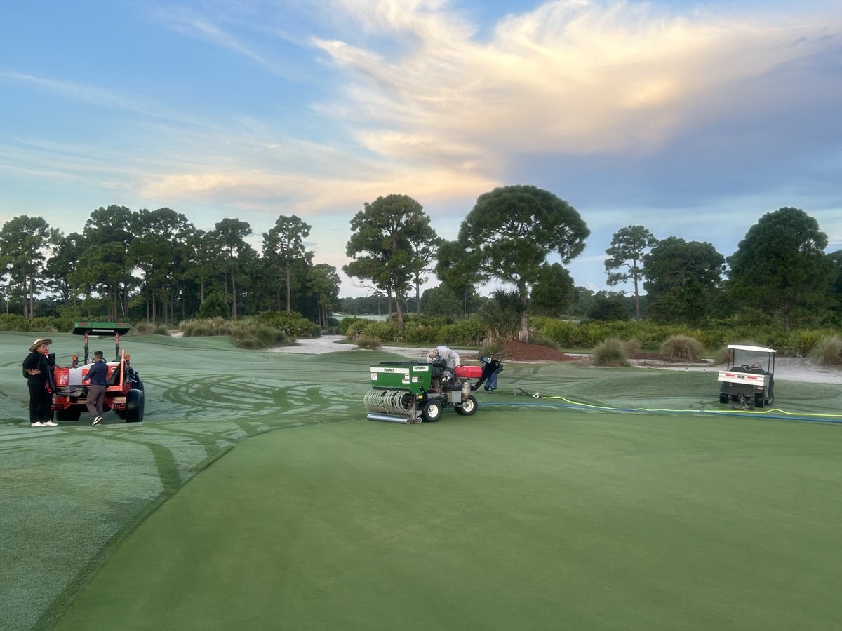 Christopher Sykes tweet media