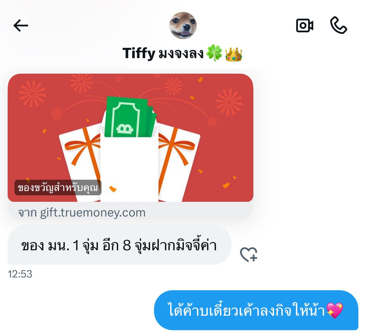 🐺 𓊆 หมาน้อยถุงเงิน 𓊇 ╺̱ 𓊓 tweet media