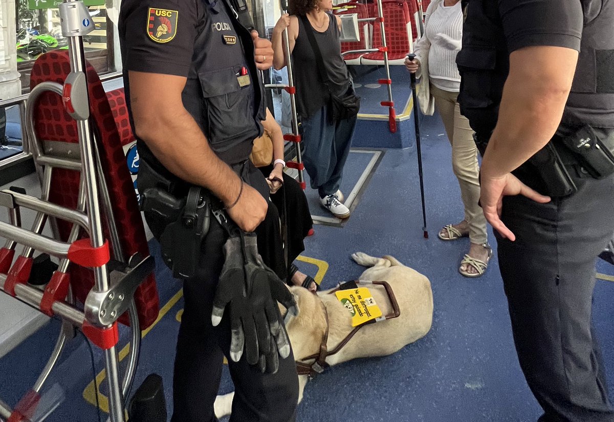 Emili Puig tweet media