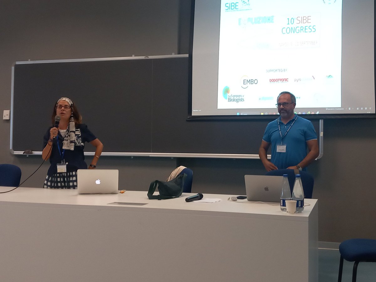 Francesca Raffini Lab (@fraraff_delfina) on Twitter photo After a refreshing break, this #SIBE2024 afternoon is dedicated to EvoDevo: "Development and evolution: an ecological perspective" chaired by <a href="/ArnoneLab/">Arnone Lab</a> & <a href="/Salv_DANIELLO/">Salvatore D'Aniello</a>
<a href="/sibe_iseb/">SIBE-Società italiana di biologia evoluzionistica</a> After a refreshing break, this #SIBE2024 afternoon is dedicated to EvoDevo: "Development and evolution: an ecological perspective" chaired by <a href="/ArnoneLab/">Arnone Lab</a> & <a href="/Salv_DANIELLO/">Salvatore D'Aniello</a>
<a href="/sibe_iseb/">SIBE-Società italiana di biologia evoluzionistica</a>