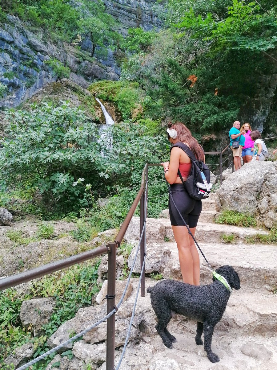 Nacho Pardinilla 🌏 tweet media