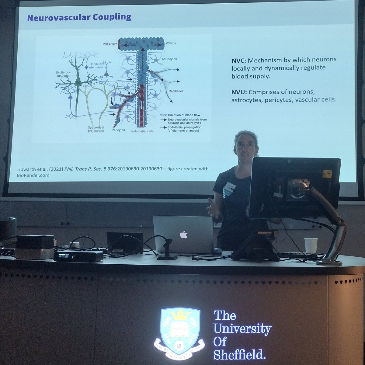 Dr Isabel N Christie (@izzynchristie) on Twitter photo The 1st mini symposium on glia in neurodegeneration was brought to a close by the one and only Clare Howarth from <a href="/nvc_sheffield/">Sheffield Neurovascular Lab</a>, local to <a href="/sheffielduni/">The University of Sheffield</a> and @neurosheff
It wouldn't be a glia meeting without a little bit of neurovascular coupling! #UKGlia2024 The 1st mini symposium on glia in neurodegeneration was brought to a close by the one and only Clare Howarth from <a href="/nvc_sheffield/">Sheffield Neurovascular Lab</a>, local to <a href="/sheffielduni/">The University of Sheffield</a> and @neurosheff
It wouldn't be a glia meeting without a little bit of neurovascular coupling! #UKGlia2024
