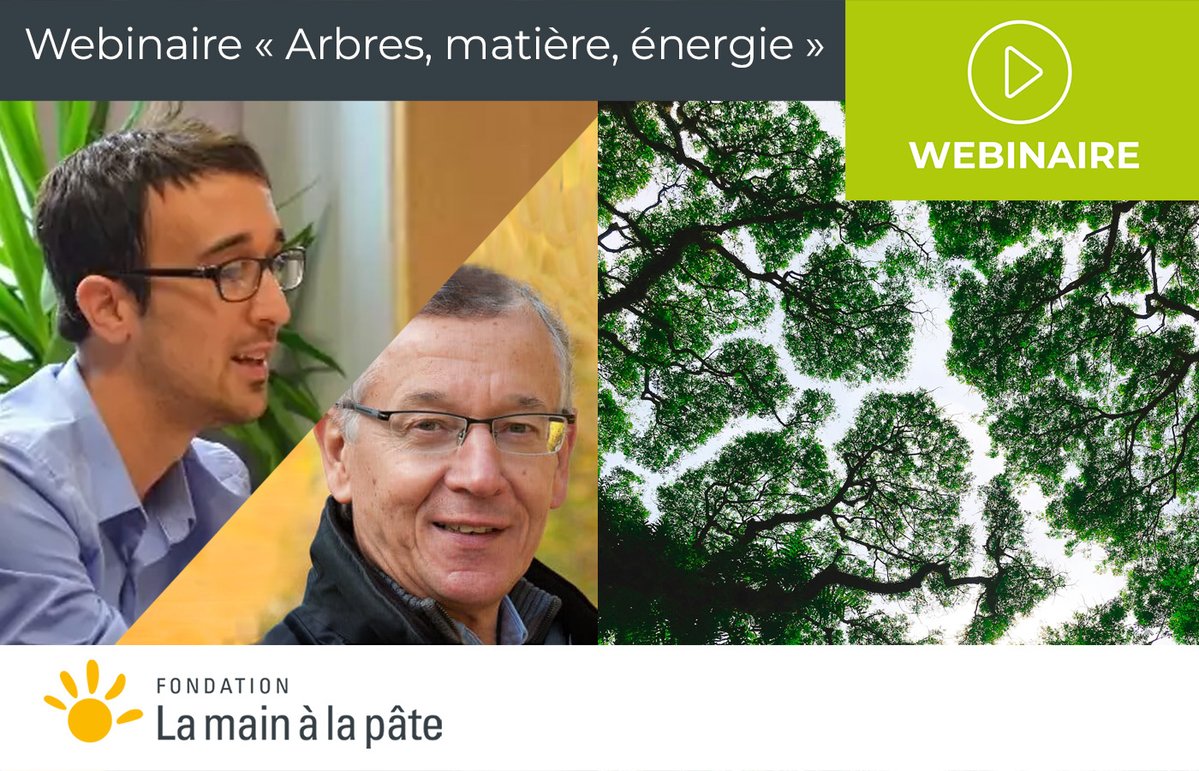 Francis M. Martin (@fmartin1954) on Twitter photo N'hésitez pas à nous rejoindre, inscrivez-vous à notre webinaire "Arbres, matière et énergie", le mercredi 11/09 à 13h30 ...
Fondation La main à la pâte
Plus d'infos : tinyurl.com/58dkh5rm
<a href="/mathieu_farina/">mathieu farina</a> <a href="/labexARBRE/">labexARBRE moving to ARTEMIS program</a> <a href="/INRAE_Nancy/">INRAE Grand Est - Nancy</a> N'hésitez pas à nous rejoindre, inscrivez-vous à notre webinaire "Arbres, matière et énergie", le mercredi 11/09 à 13h30 ...
Fondation La main à la pâte
Plus d'infos : tinyurl.com/58dkh5rm
<a href="/mathieu_farina/">mathieu farina</a> <a href="/labexARBRE/">labexARBRE moving to ARTEMIS program</a> <a href="/INRAE_Nancy/">INRAE Grand Est - Nancy</a>