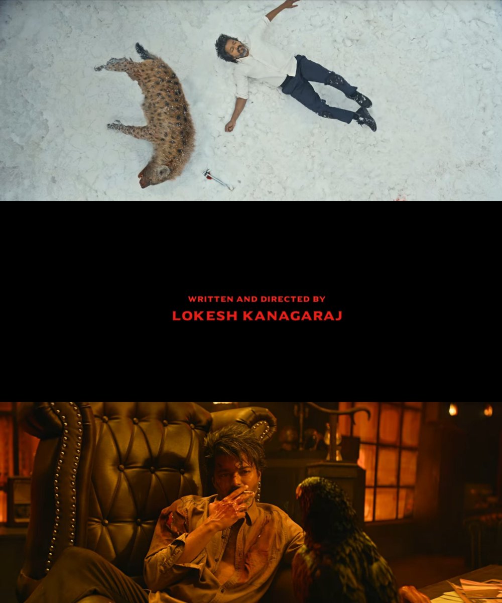 illusionistChay's tweet photo. will defend LEO for a lifetime. it's special. and will remain so. https://t.co/GeeNmHu2xQ