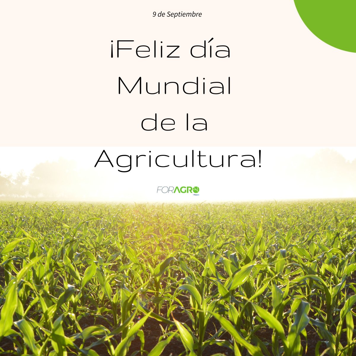 _datalife's tweet photo. ¡¡ Feliz #DiaMundialDeLaAgricultura !!
¡¡Celebrarlo con un #ERP personalizado para el sector #agro !! 🥳🎉🚜
➡️➡️➡️➡️ https://t.co/uLZfz6TgNi
➡️➡️➡️➡️ https://t.co/uLZfz6TgNi
➡️➡️➡️➡️ https://t.co/uLZfz6TgNi
https://t.co/Ik0SLSpNDc
#trytonerp #foragroerp #foragro #tryton https://t.co/PQNXgDJEEm