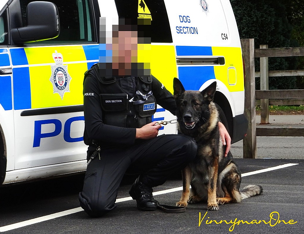 VinnymanOne. tweet media