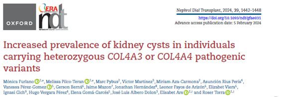 Fundació Puigvert Barcelona (@fpuigvert) on Twitter photo New insights regarding autosomal dominant #Alport syndrome 👇
"Individuals with COL4A3/COL4A4 genes pathogenic variants are prone to develop #kidneycysts more frequently than the general population, and their presence is related to age and to eGFR"
<a href="/m_furlano/">Mónica Furlano</a> in New insights regarding autosomal dominant #Alport syndrome 👇
"Individuals with COL4A3/COL4A4 genes pathogenic variants are prone to develop #kidneycysts more frequently than the general population, and their presence is related to age and to eGFR"
<a href="/m_furlano/">Mónica Furlano</a> in