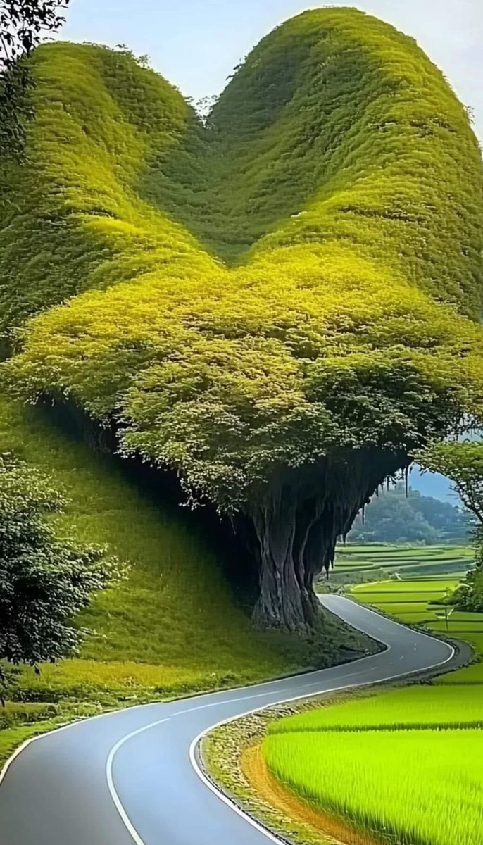 Breathtaking view 💕❤️🌸❤️