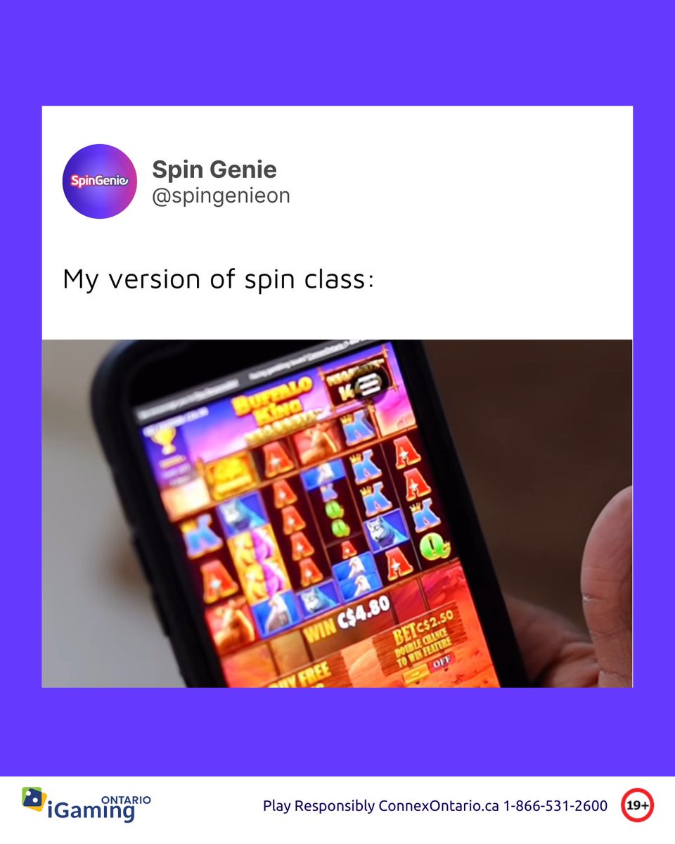 Spingenie App Interface