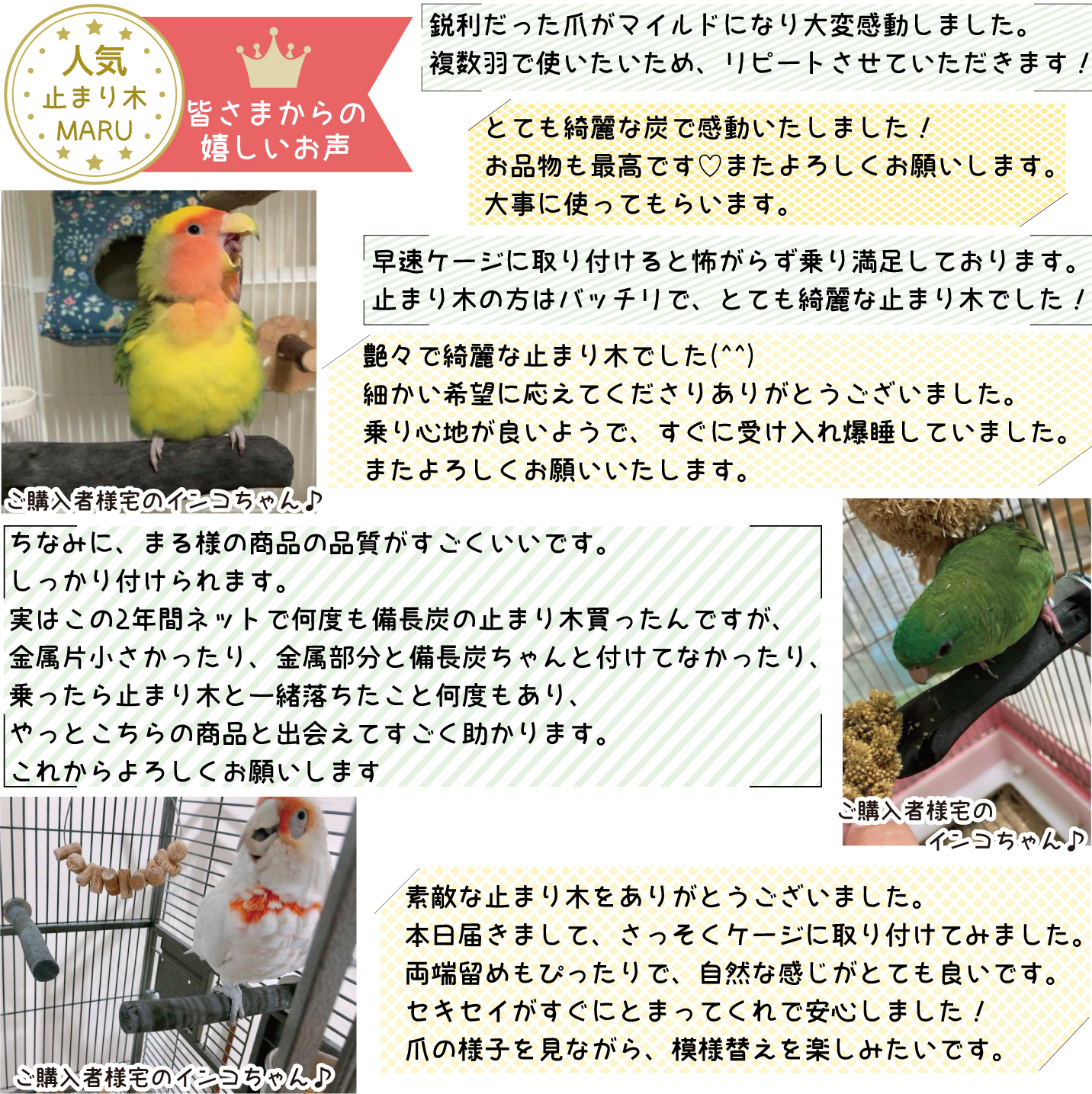 備長炭止まり木⭐️パーチ⭐️止まり木⭐️専用です♪(*´ー｀*)✨ 備長炭止まり木⭐️止まり木⭐️パーチ⭐️専用ですwww ことりまに