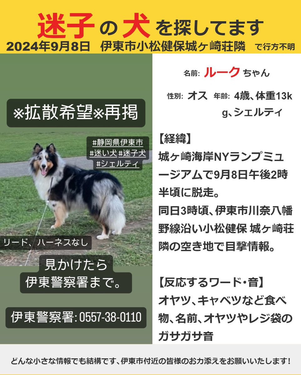 皆様にご心配をおかけし、かなりのご連絡をいただいており返信できず申し訳ございません。
取り急ぎ状況報告となります。
地元の方々にチラシをつくっていただき、配布いただいております。
