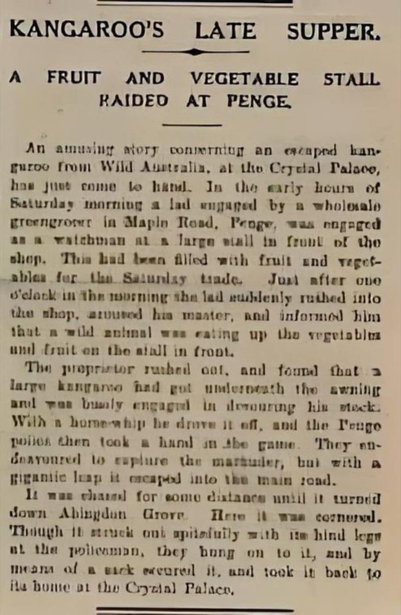 Penge Tourist Board tweet media