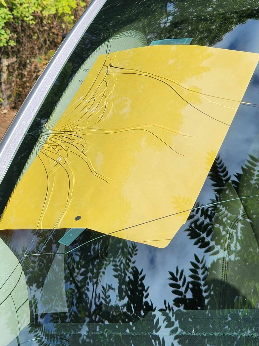 lauraloohoo97's tweet photo. @safelite make this make sense!!!!!
This is a DEFECTIVE windshield! Replace my windshield!!!!
#safelitefixmywindshield #safelitedotherightthing
#safelite https://t.co/lYUEIOA6Fv