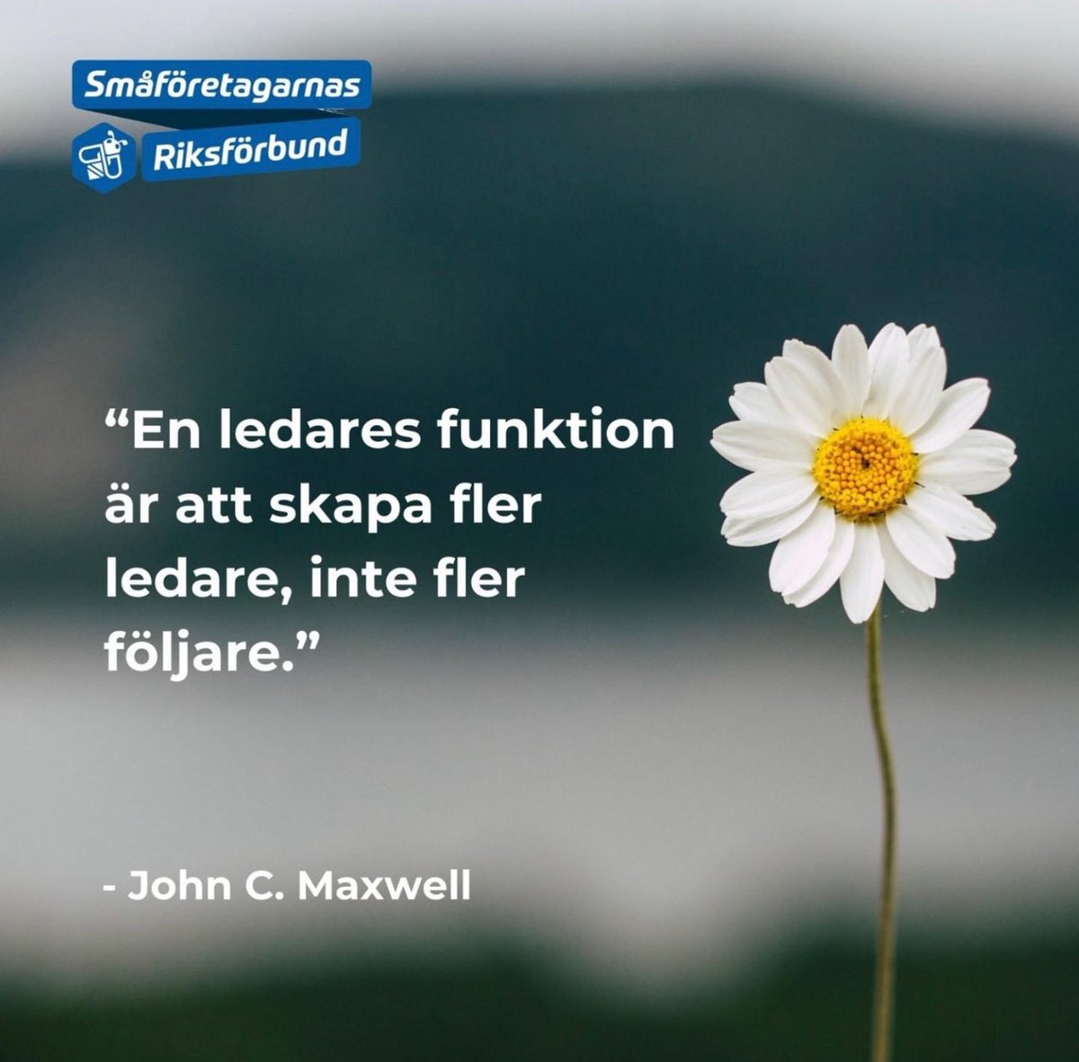 Smaforetagarna's tweet photo. Vad anser du är en bra ledare?🌱
.
.
.
#småföretag #drivaeget #drivaföretag #egenföretagare #entreprenör #småföretagare https://t.co/k7VAqqelvR