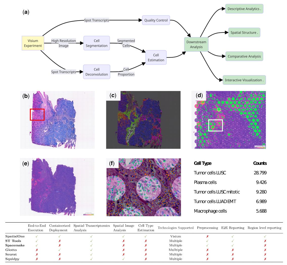 SpatialOne: end-to-end analysis of visium data at scale academic.oup.com/bioinformatics… 🧬🖥️  github.com/Sanofi-Public/…