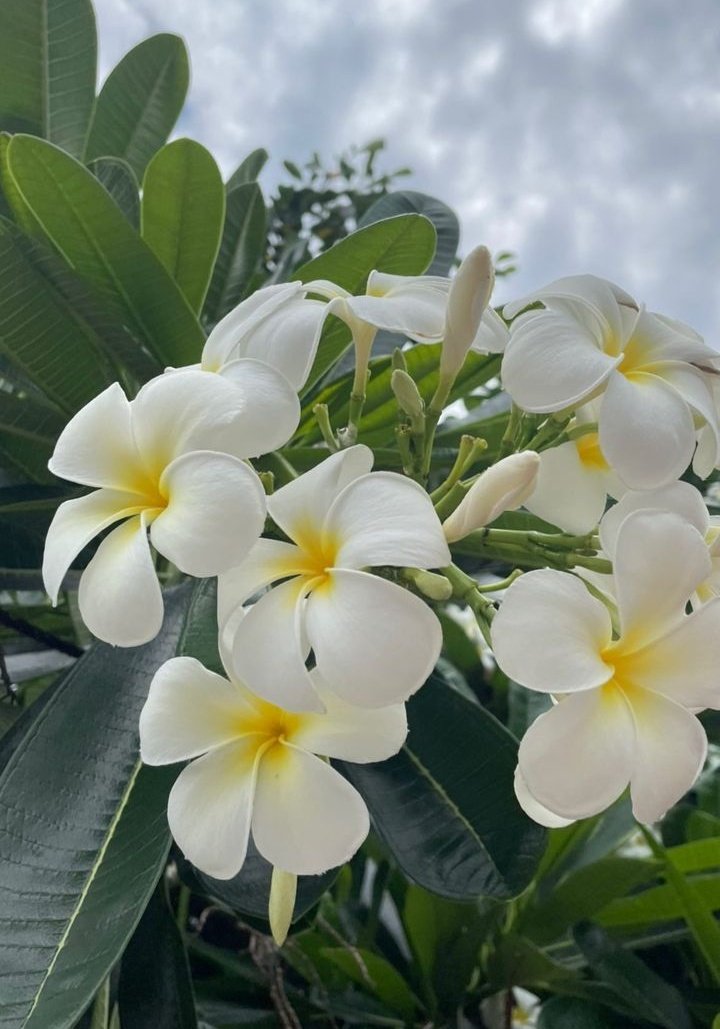 7bucketofshit's tweet photo. 🍰🌼 https://t.co/xR0FYwPg8V