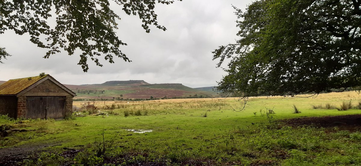 louisem09717316's tweet image. Weekend walk at #Longshaw, beating the rain! @peakdistrict #HiggerTor #CarlWark