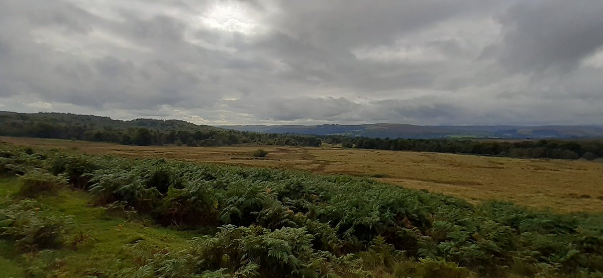 louisem09717316's tweet image. Weekend walk at #Longshaw, beating the rain! @peakdistrict #HiggerTor #CarlWark