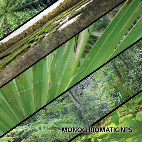 You may have seen monochromatic red popping up on the runways last year, but this season, it's all about monochromatic parks. Timucuan Preserve has been rocking the tints and vibrancy of an all-green look for years. This lush look never goes out of style. #NPSFW #MonochromaticNPS