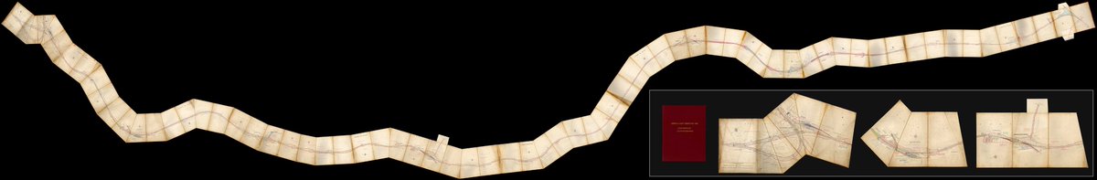 Genus Archive Digitise tweet media