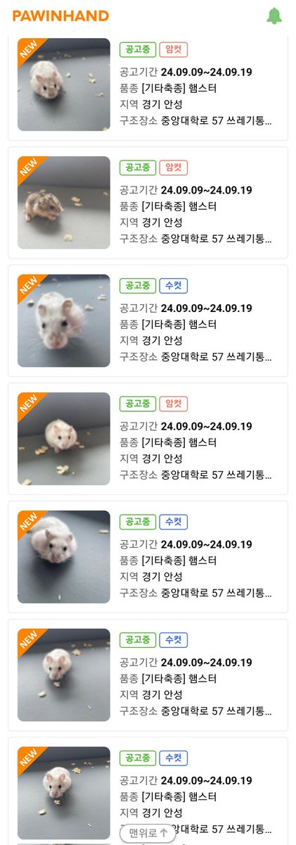 경기도 안성시에서 윈터화이트 15마리가 집단 유기되었습니다.
총 12곳의 임보/입양처를 찾습니다.

보호센터 : 이성준동물병원 (☎️: 031-673-5858)
담당부서 : 경기도 안성시 (☎️: 031-678-5493)

#햄스터 #햄스터입양 #사지말고입양하세요 #유기동물 #드워프햄스터 #윈터화이트 #집단유기