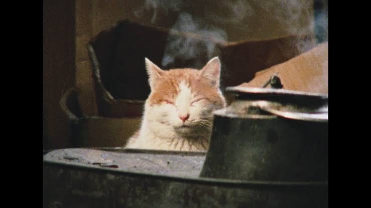 Asian_docs's tweet image. mountains, snow, gathering chestnuts, folk practices, zenmai...and how the construction of a dam erased everything.

A longer review of 越後奥三面 山に生かされた日々Echigo Okumiomote: A Traditional Mountain Village (Himeda Tadayoshi, 1984)

asian-docs.com/2024/09/09/%e8…