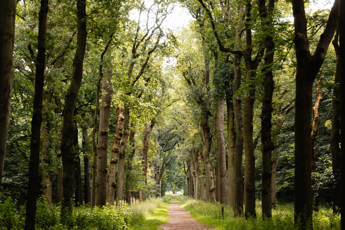 VACATURE 💚 Word jij onze nieuwe Online Marketeer? Bekijk de vacature en solliciteer via: zhl.nl/vacature-onlin… (32 uur) 🌿