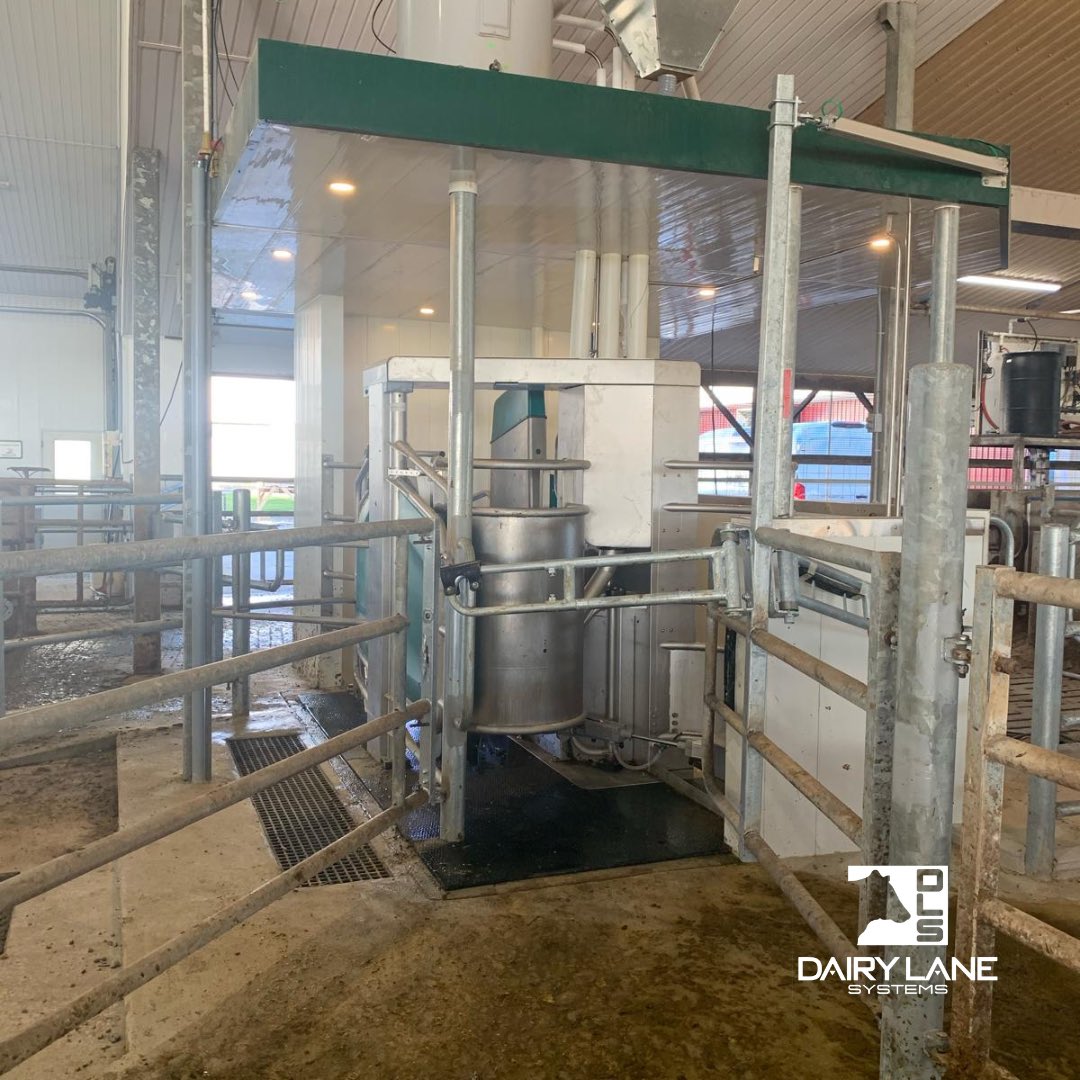 dairylanesystem's tweet photo. The cows at Drentina Dairy are adapting quickly to their 2 new GEA R9500 Milking Robots. Thank you Streuker family with trusting DLS on your project. https://t.co/dutW6A9ZFK