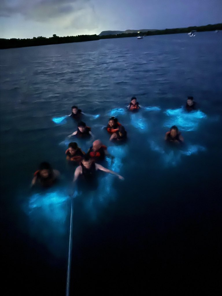The CARSE Summer Program wrapped up with remarkable student presentations! 💡 From innovative research to exploring La Parguera's Bioluminescent Bay, this summer was full of discovery, learning, and nature. 🌊
 #CARSEProgram #STEM #Research #Bioluminescence