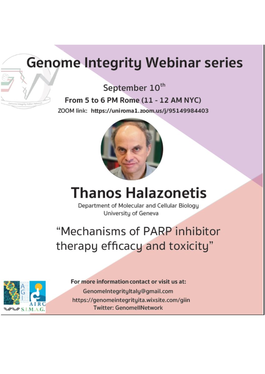 Giin webinars are back!! 😁

We are happy to host 𝐓𝐡𝐚𝐧𝐨𝐬 𝐇𝐚𝐥𝐚𝐳𝐨𝐧𝐞𝐭𝐢𝐬

for tomorrow's seminar at 5PM Rome time (11am NY time) at the zoom link: uniroma1.zoom.us/j/95149984403

Join us for great discussions about an exciting DNA replication trip!