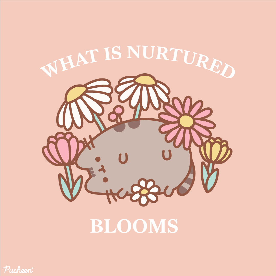 Gentle reminder 🌼🌷🌻