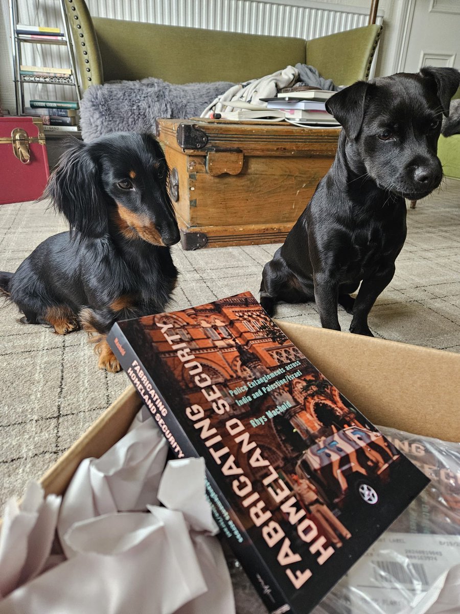 Rhys Machold 🍉 (@rhys_machold) on Twitter photo As my dogs Sally and Frankie say “The book is officially out on September 24th but now available for pre-order. And you can get yours 20% off on the @stanfordpresswebsite with the code MACHOLD20 so you might as well get your copy today! What are you waiting for?” As my dogs Sally and Frankie say “The book is officially out on September 24th but now available for pre-order. And you can get yours 20% off on the @stanfordpresswebsite with the code MACHOLD20 so you might as well get your copy today! What are you waiting for?”